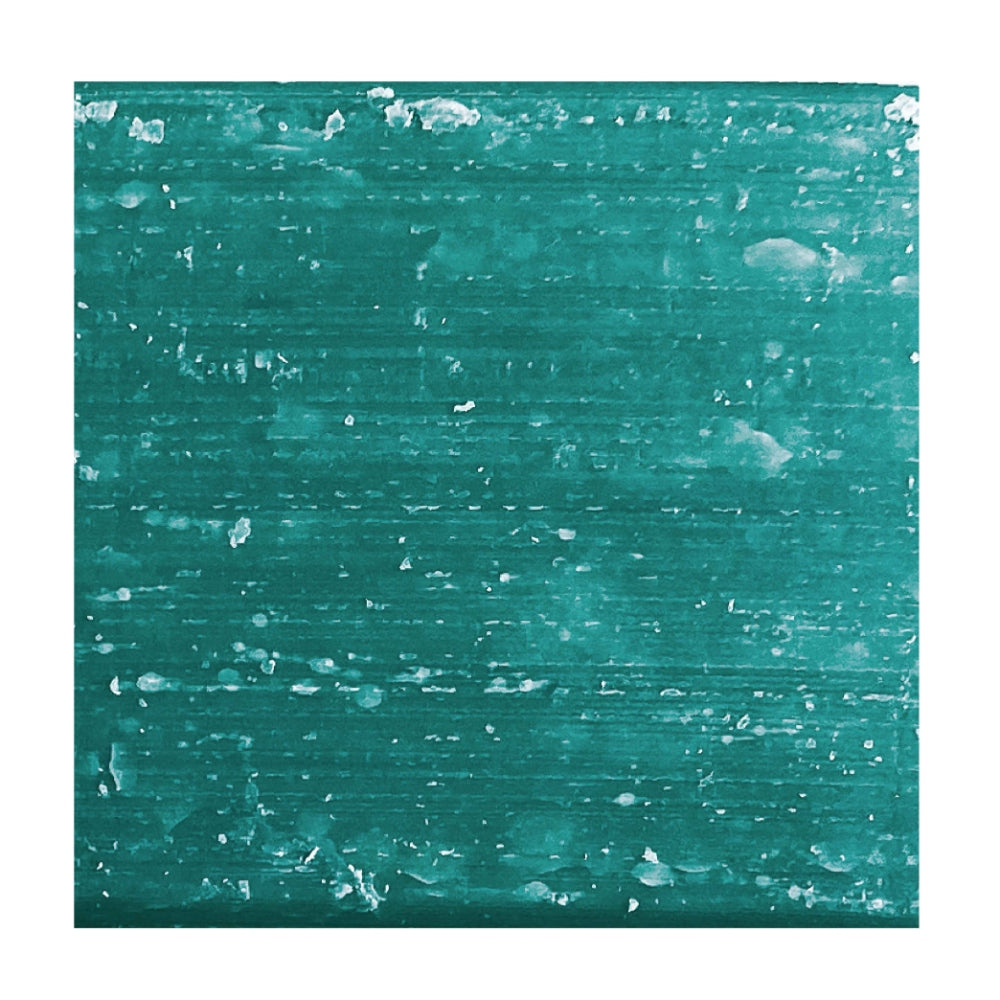 Shower Blocks - Lemon & Tea Tree 2in1 Shampoo & Conditioner – Fine/Oily Hair - Life Before Plastic